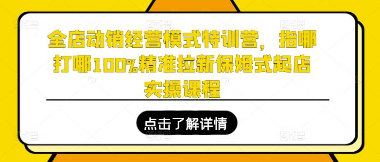 全店动销经营模式特训营，指哪打哪100%精准拉新保姆式起店实操课程-数智网创