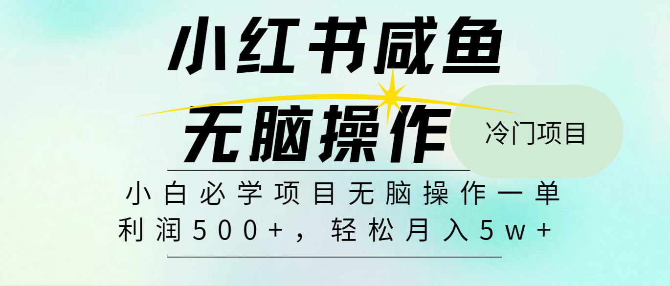全网首发2024最热门赚钱暴利手机操作项目，简单无脑操作，每单利润最少500+-数智网创