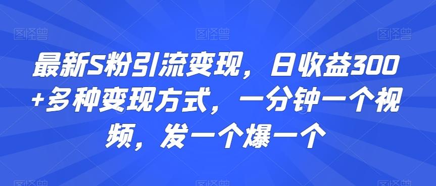 最新S粉引流变现，日收益300+多种变现方式，一分钟一个视频，发一个爆一个【揭秘】-数智网创