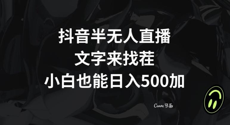 抖音半无人直播，文字来找茬小游戏，每天收益500+【揭秘】-数智网创