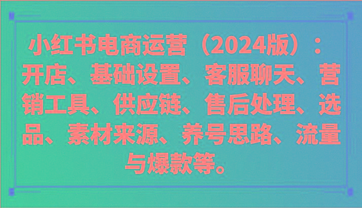 小红书电商运营(2024版):开店、设置、供应链、选品、素材、养号、流量与爆款等-数智网创