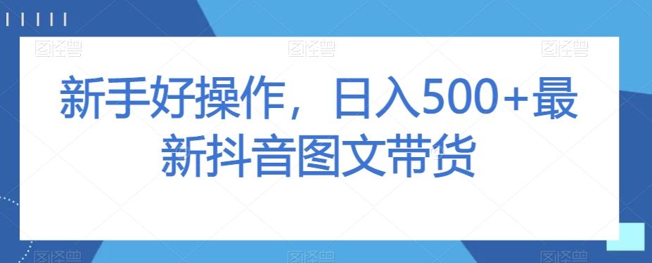 新手好操作，日入500+最新抖音图文带货【揭秘】-数智网创