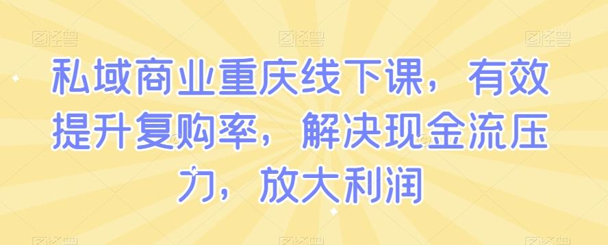 私域商业重庆线下课，有效提升复购率，解决现金流压力，放大利润-数智网创