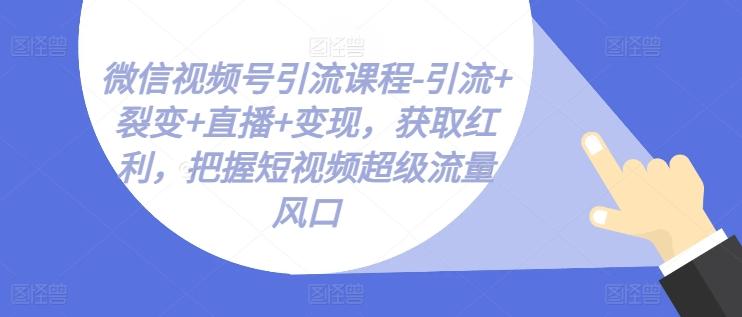 微信视频号引流课程-引流+裂变+直播+变现，获取红利，把握短视频超级流量风口-数智网创