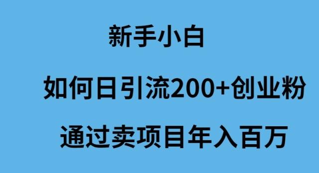 (9668期)新手小白如何日引流200+创业粉通过卖项目年入百万-数智网创