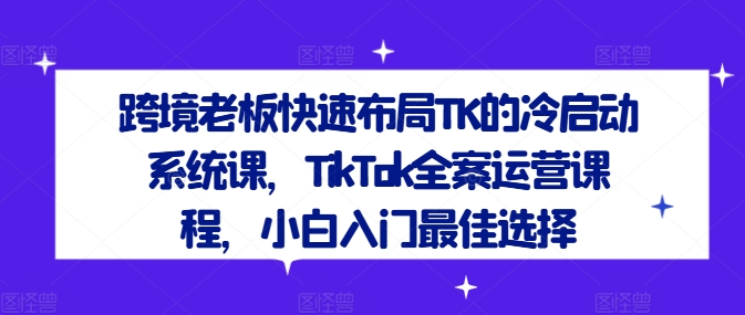跨境老板快速布局TK的冷启动系统课，TikTok全案运营课程，小白入门最佳选择-数智网创
