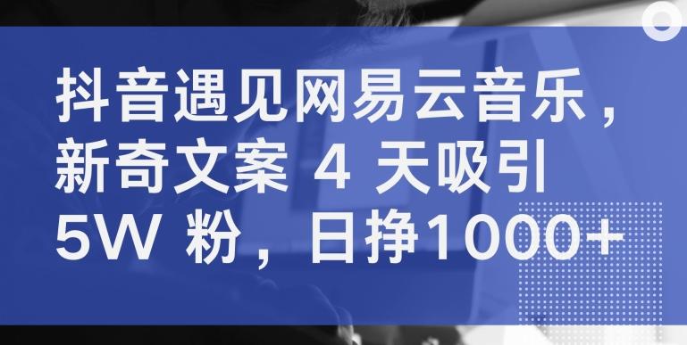 抖音遇见网易云音乐，新奇文案 4 天吸引 5W 粉，日挣1000+【揭秘】-数智网创
