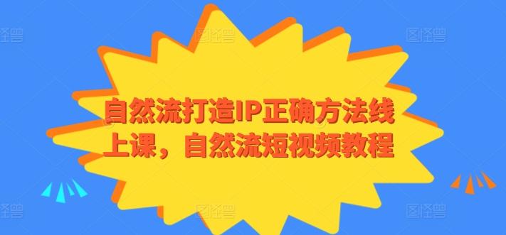 自然流打造IP正确方法线上课,自然流短视频教程-数智网创