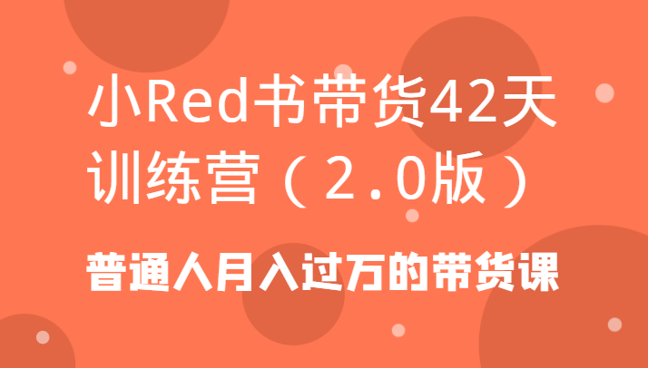 小Red书带货42天训练营(2.0版)普通人月入过万的带货课-数智网创