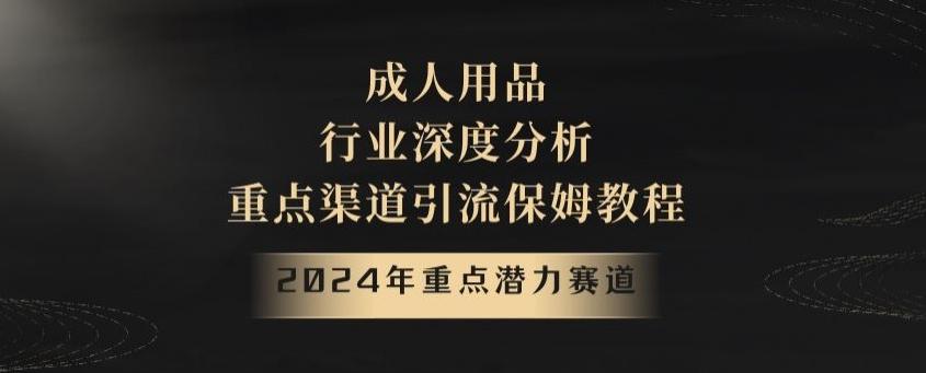 2024年重点潜力赛道，成人用品行业深度分析，重点渠道引流保姆教程【揭秘】-数智网创