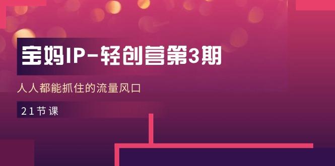 宝妈IP-轻创营第3期,人人都能抓住的流量风口(21节课-数智网创