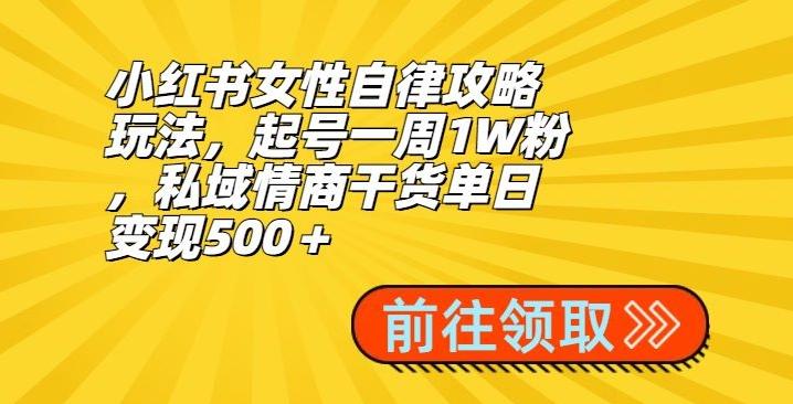 小红书女性自律攻略玩法,起号一周1W粉,私域情商干货单日变现500+-数智网创