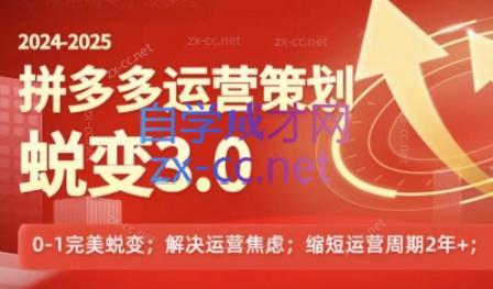 大力老师·2024拼多多运营策略蜕变3.0-数智网创