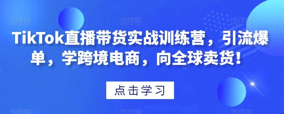 TikTok直播带货实战训练营，引流爆单，学跨境电商，向全球卖货！-数智网创