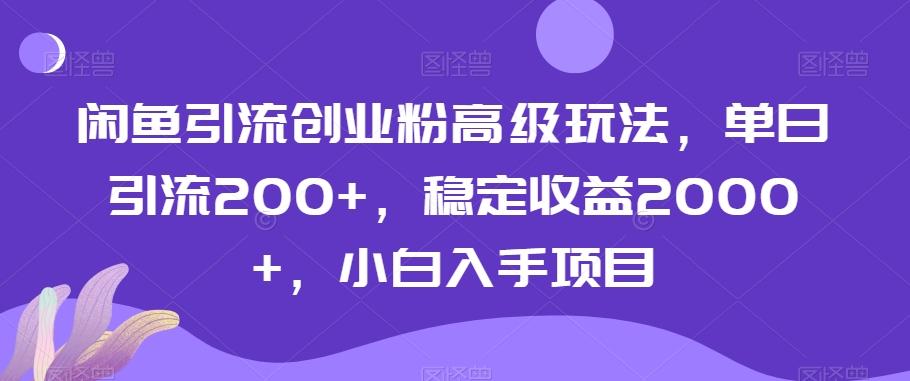 闲鱼引流创业粉高级玩法，单日引流200+，稳定收益2000+，小白入手项目-数智网创