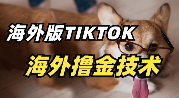 抖音海外版tiktok撸金技术，这个风口行业，赚钱真的不难【揭秘】-数智网创