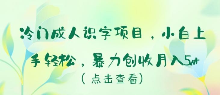 冷门成人识字项目，小白上手轻松，暴力创收月入5w+【揭秘】-数智网创