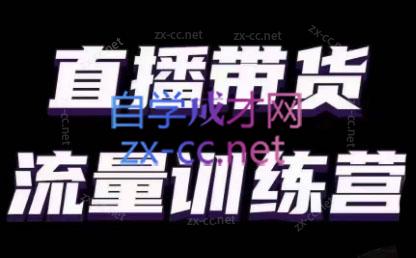 婉婉·直播带货课程系列合集(更新8月)-数智网创