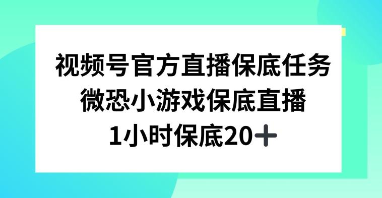 视频号直播任务，微恐小游戏，1小时20+【揭秘】-数智网创
