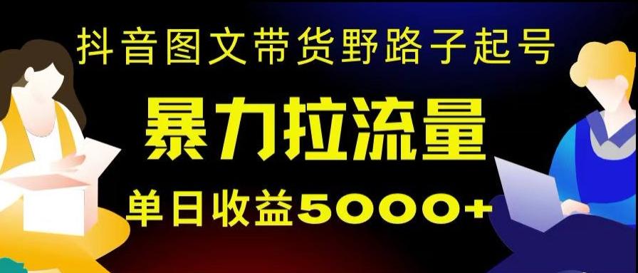 抖音图文带货暴力起号，单日收益5000+，野路子玩法，简单易上手，一部手机即可【揭秘】-数智网创