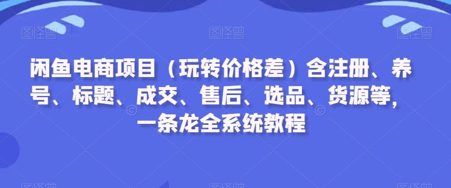 闲鱼电商项目(玩转价格差)含注册、养号、标题、成交、售后、选品、货源等，一条龙全系统教程-数智网创