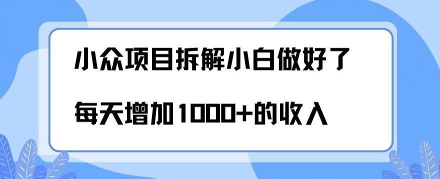 小众项目拆解，小白做好了每天可增加1000多的收入-数智网创