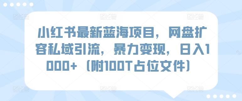 小红书最新蓝海项目，网盘扩容私域引流，暴力变现，日入1000+(附100T占位文件)【揭秘】-数智网创