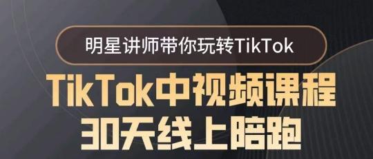 TikTok中视频课程30天线上陪跑,明星讲师带你玩转TikTok-数智网创
