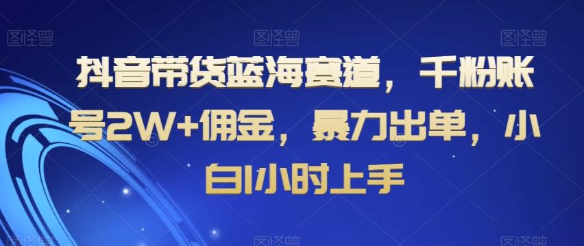 抖音带货蓝海赛道，千粉账号2W+佣金，暴力出单，小白1小时上手【揭秘】-数智网创