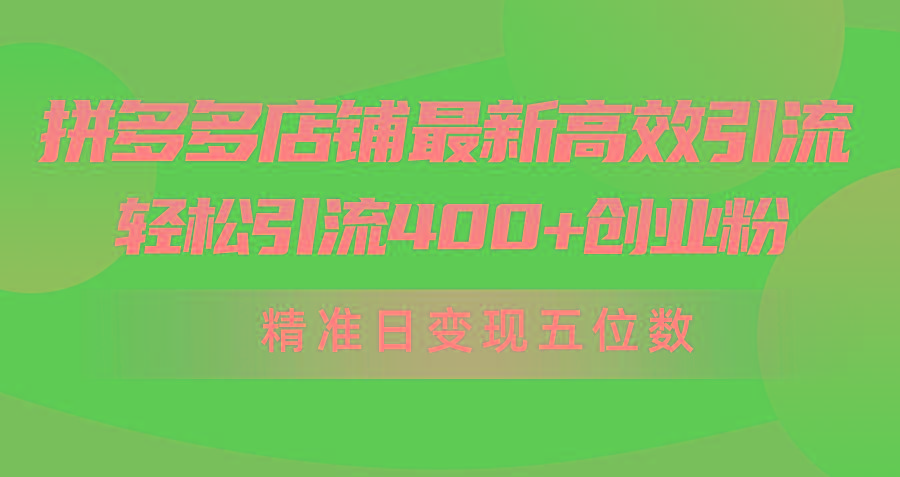 (10041期)拼多多店铺最新高效引流术，轻松引流400+创业粉，精准日变现五位数！-数智网创