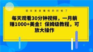 每天观看30分钟视频，一月躺赚1000+美金！保姆级教程，可放大操作【揭秘】-数智网创