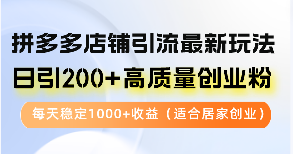 拼多多店铺引流最新玩法,日引200+高质量创业粉,每天稳定1000+收益(...-数智网创