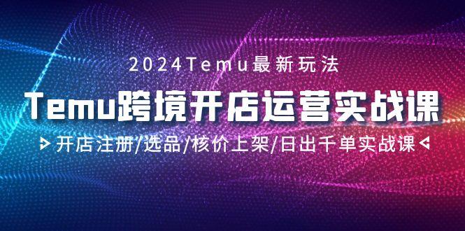 2024Temu跨境开店运营实战课，开店注册/选品/核价上架/日出千单实战课-数智网创