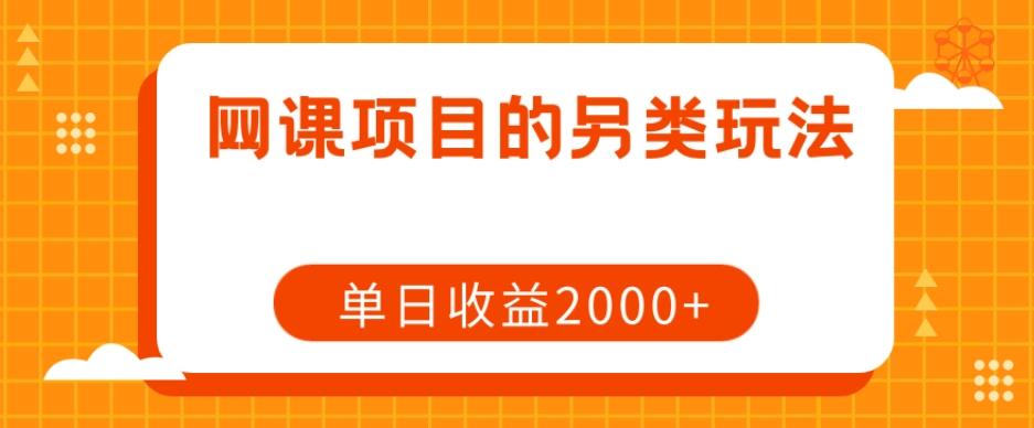 网课项目的另类玩法，单日收益2000+【揭秘】-数智网创