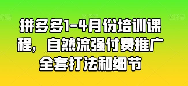 拼多多1-4月份培训课程，自然流强付费推广全套打法和细节-数智网创