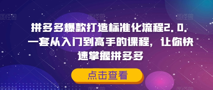 拼多多爆款打造标准化流程2.0，一套从入门到高手的课程，让你快速掌握拼多多-数智网创