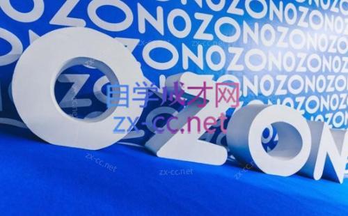 森哥·出海俄罗斯电商实操(2024)-数智网创