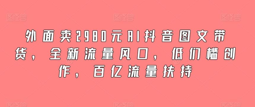 外面卖2980元AI抖音图文带货，全新流量风口，低们槛创作，百亿流量扶持-数智网创