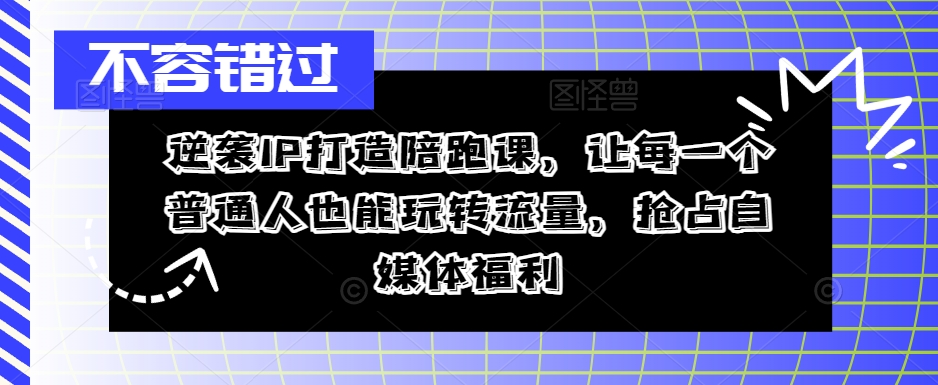 逆袭IP打造陪跑课，让每一个普通人也能玩转流量，抢占自媒体福利-数智网创