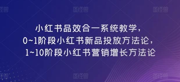 小红书品效合一系统教学,0~1阶段小红书新品投放方法论,1~10阶段小红书营销增长方法论-数智网创