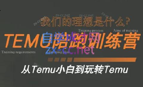 苗苗·拼多多跨境（temu）课程-数智网创