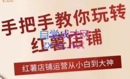 海燕老师·2024手把手教你玩转红薯店铺-数智网创