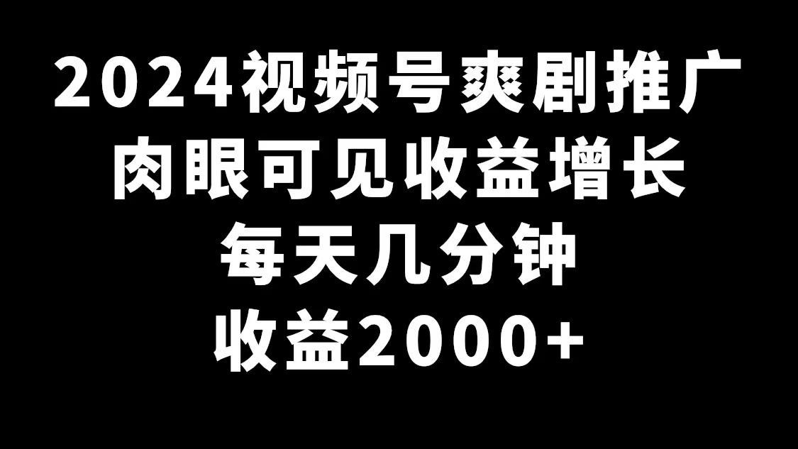 2024视频号爽剧推广，肉眼可见的收益增长，每天几分钟收益2000+-数智网创