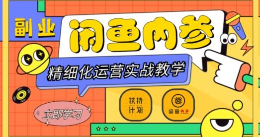 闲鱼精细化运营入门+高阶实战教学，从底层逻辑到轻松变现，多维度玩转闲鱼副业-数智网创