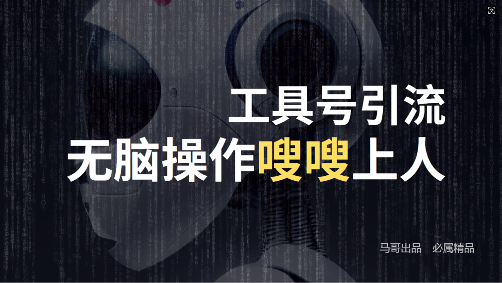 24年抖音最新工具号日引流300+创业粉，日入5000+-数智网创