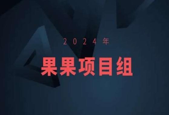 2024年果果项目组项目合集-果果最新项目-数智网创