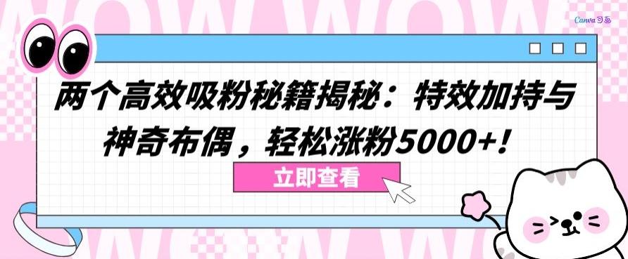 两个高效吸粉秘籍揭秘：特效加持与神奇布偶，轻松涨粉5000+【揭秘】-数智网创