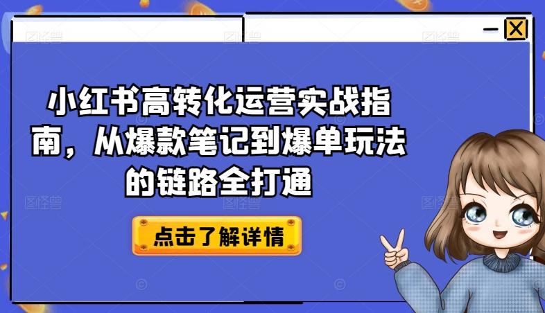 小红书高转化运营实战指南，从爆款笔记到爆单玩法的链路全打通-数智网创