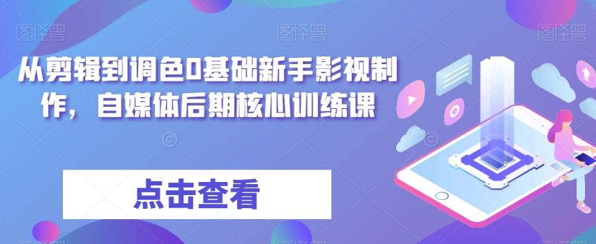 从剪辑到调色0基础新手影视制作，自媒体后期核心训练课-数智网创