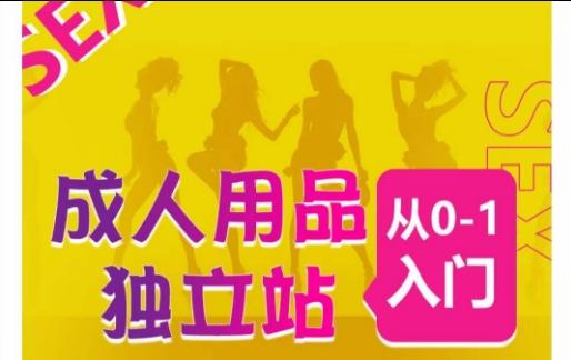 成人用品独立站从0-1入门，成品独立站运营全流程教学，七大好卖成品独立站推荐-数智网创